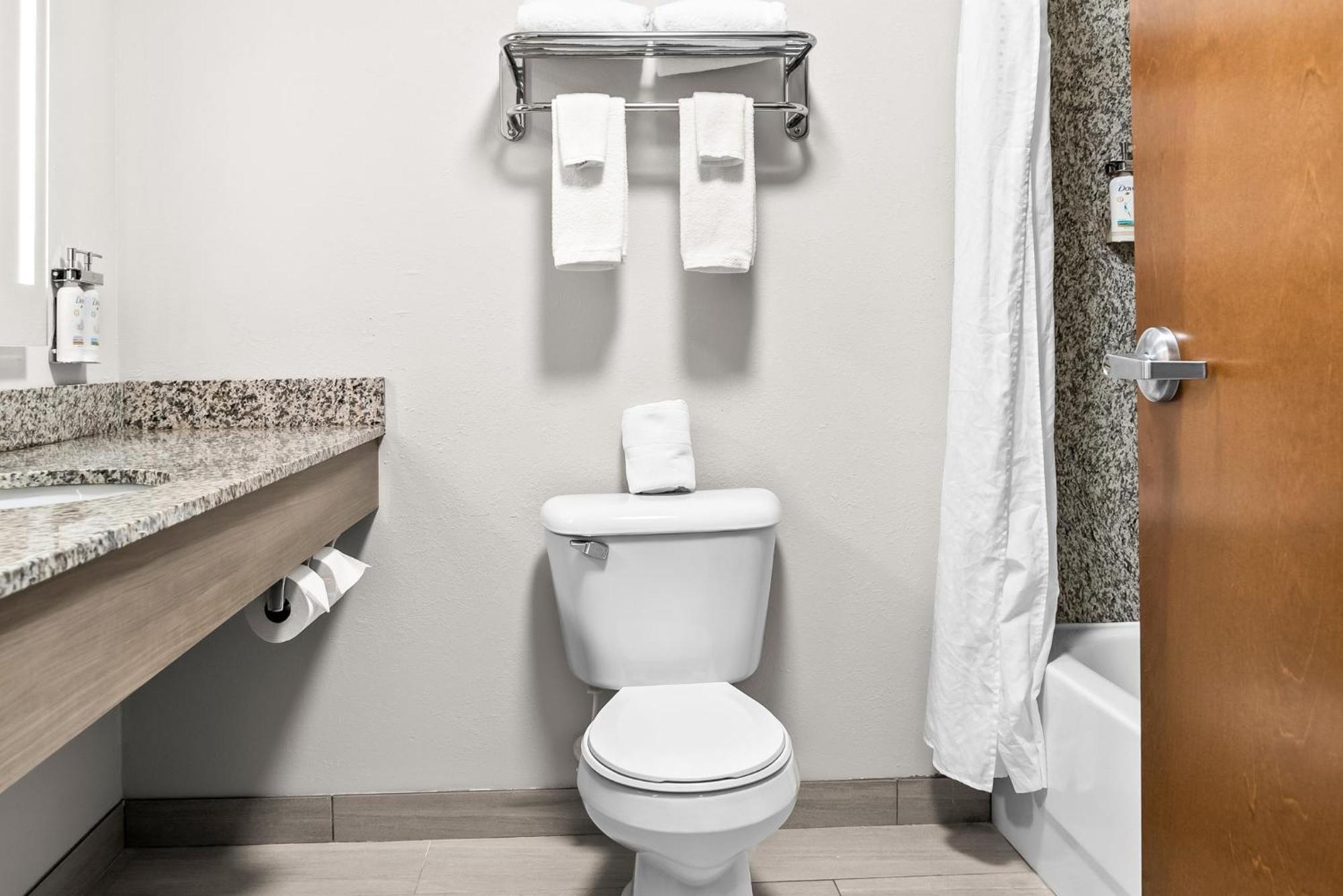 Holiday Inn Express & Suites Detroit - Novi By Ihg Екстериор снимка